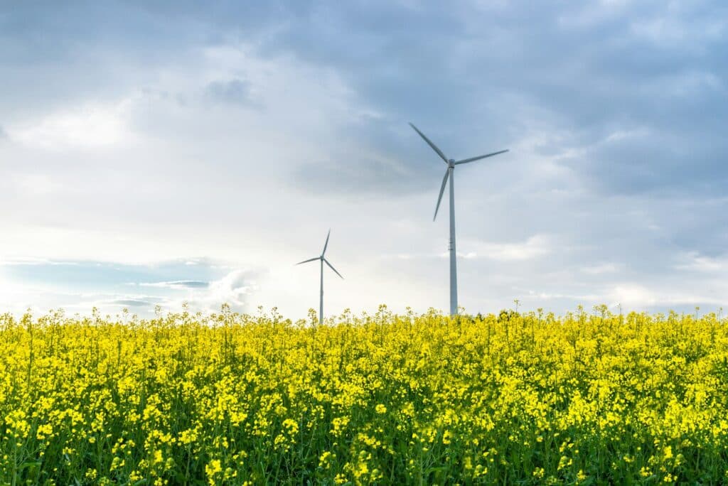 alternative energy