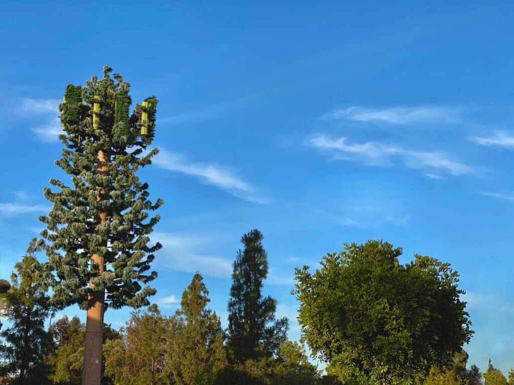 Mobile technology cellular tower made to look like a natural tree in the environment