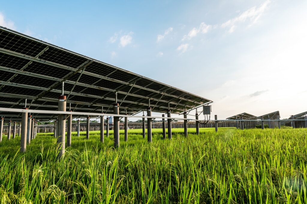 Solar power plant