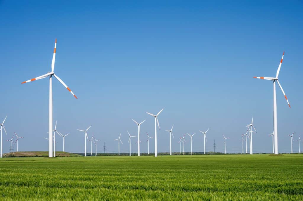 Wind farm with many turbines