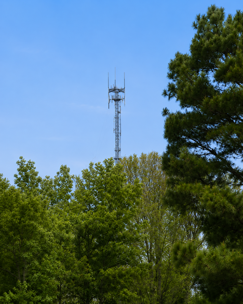 130 County Rd 636, Paragould, AR 72450, USA